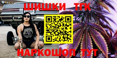 тгк Кингисепп