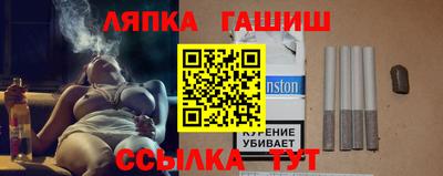 тгк Кингисепп