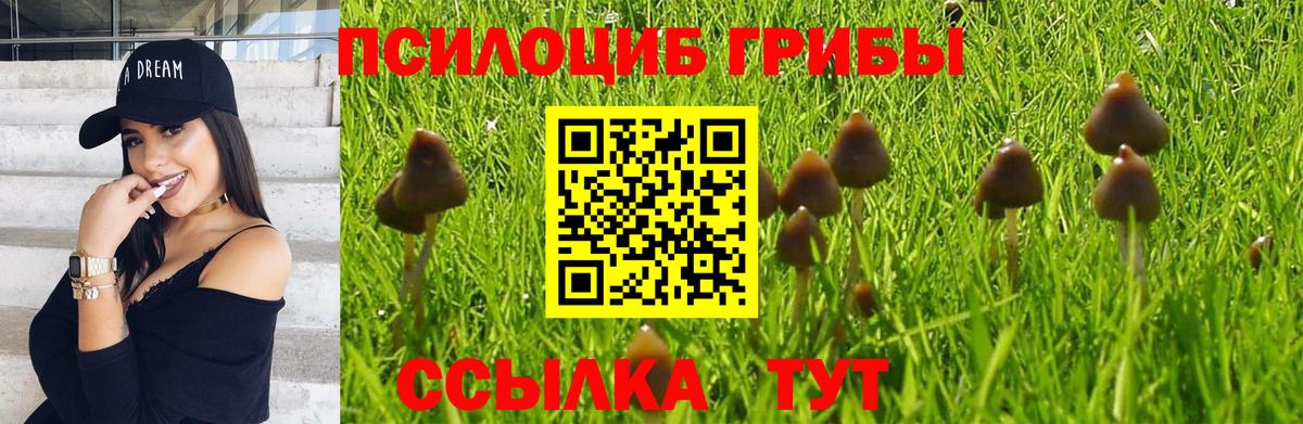 Галлюциногенные грибы Cubensis Ялта